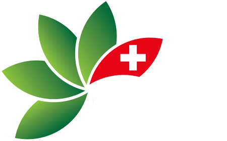 Logo - Berner Blumenbörsen